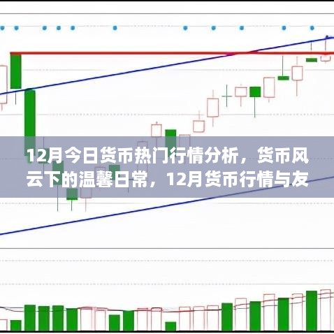 12月货币行情深度解析，风云变幻中的温馨日常与友情交织