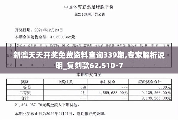 新澳天天开奖免费资料查询339期,专家解析说明_复刻款62.510-7