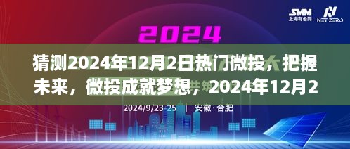 把握未来微投趋势，揭秘2024年12月2日热门微投之旅