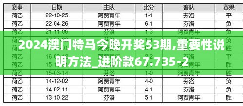 2024澳门特马今晚开奖53期,重要性说明方法_进阶款67.735-2