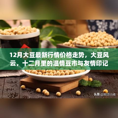 十二月大豆行情深度解析，风云变幻中的温情豆市与友情印记