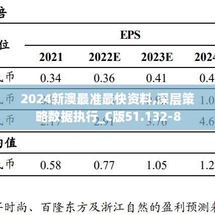 2024新澳最准最快资料,深层策略数据执行_C版51.132-8