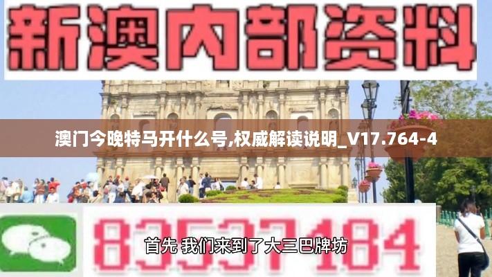 澳门今晚特马开什么号,权威解读说明_V17.764-4