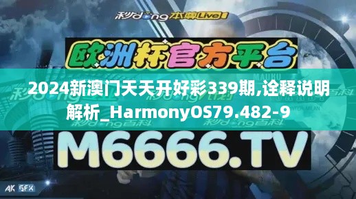 2024新澳门天天开好彩339期,诠释说明解析_HarmonyOS79.482-9