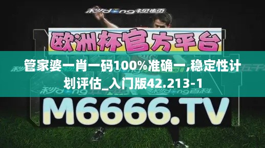 管家婆一肖一码100%准确一,稳定性计划评估_入门版42.213-1