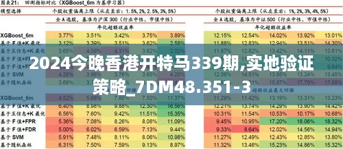 2024今晚香港开特马339期,实地验证策略_7DM48.351-3