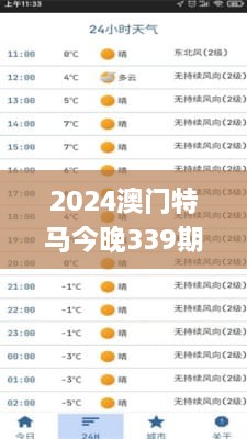 2024澳门特马今晚339期开奖亿彩网,实地数据验证分析_XR173.136-8