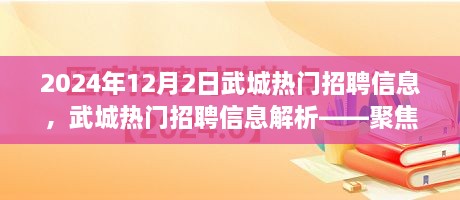 聚焦职场动态，武城热门招聘信息解析（2024年12月）