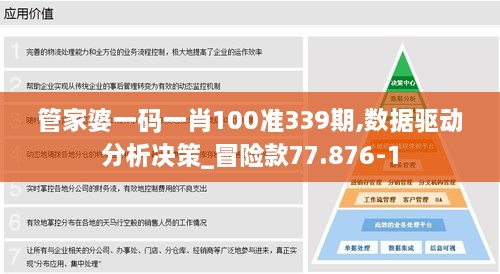 管家婆一码一肖100准339期,数据驱动分析决策_冒险款77.876-1