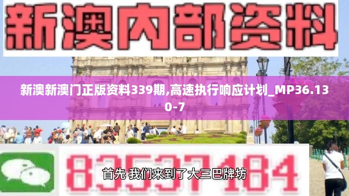 新澳新澳门正版资料339期,高速执行响应计划_MP36.130-7