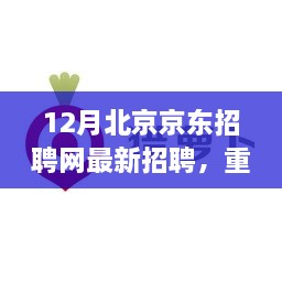 十二月北京京东招聘网最新职位信息揭秘，开启求职新篇章