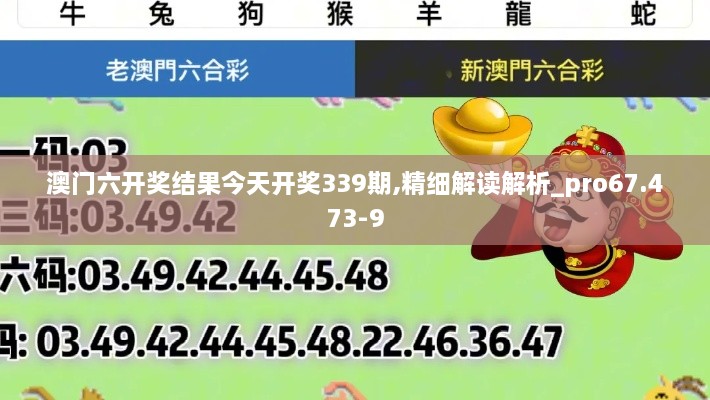 澳门六开奖结果今天开奖339期,精细解读解析_pro67.473-9