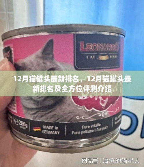 最新12月猫罐头排名及全方位评测介绍