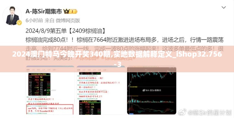 2024澳门特马今晚开奖340期,实地数据解释定义_iShop32.756-3