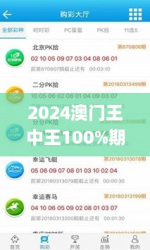 2024澳门王中王100%期期中,实地数据验证策略_2D45.587