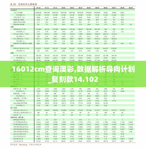 16012cm查询澳彩,数据解析导向计划_复刻款14.102