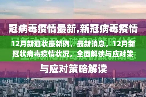 全面解读与应对策略，12月新冠病毒疫情最新消息与状况