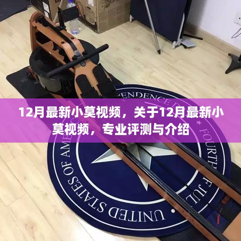 最新小莫视频专业评测与介绍，12月独家呈现