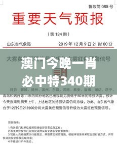 澳门今晚一肖必中特340期,合理决策评审_BT98.873-3