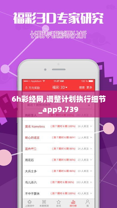 6h彩经网,调整计划执行细节_app9.739