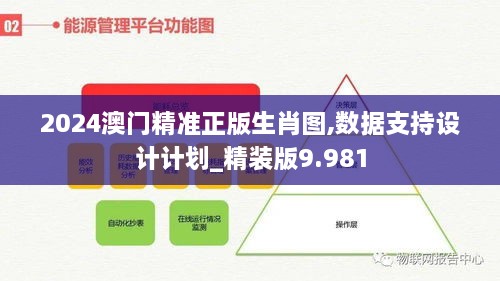 2024澳门精准正版生肖图,数据支持设计计划_精装版9.981