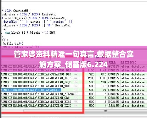 管家婆资料精准一句真言,数据整合实施方案_储蓄版6.224