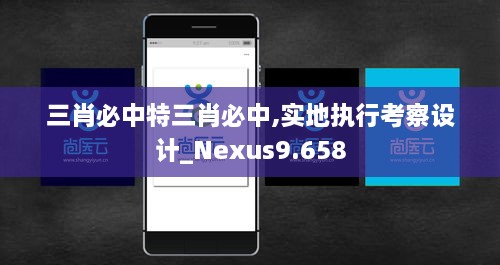 三肖必中特三肖必中,实地执行考察设计_Nexus9.658