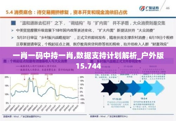 一肖一码中持一肖,数据支持计划解析_户外版15.744