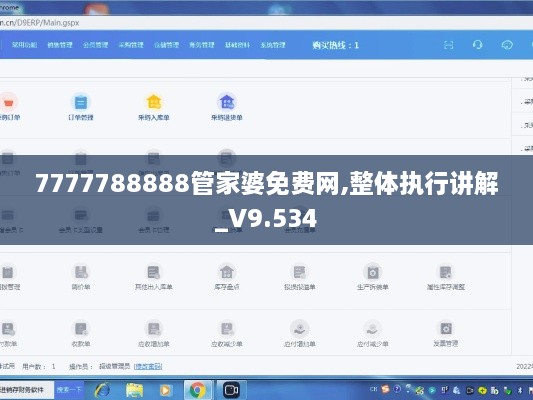 7777788888管家婆免费网,整体执行讲解_V9.534