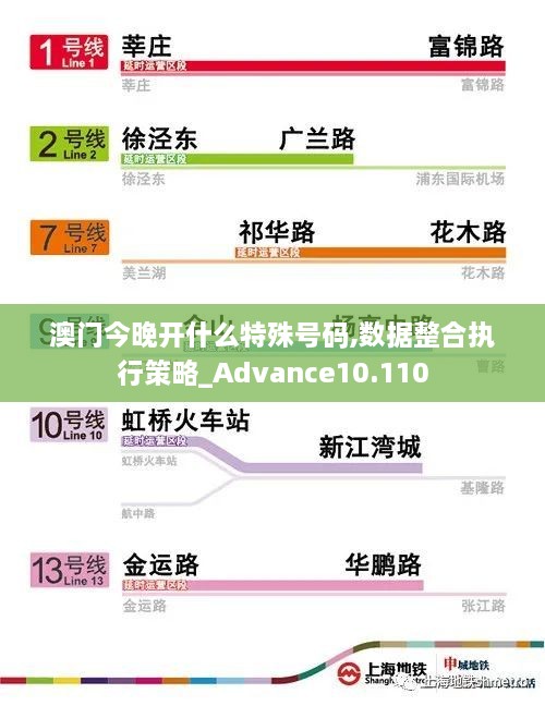 澳门今晚开什么特殊号码,数据整合执行策略_Advance10.110