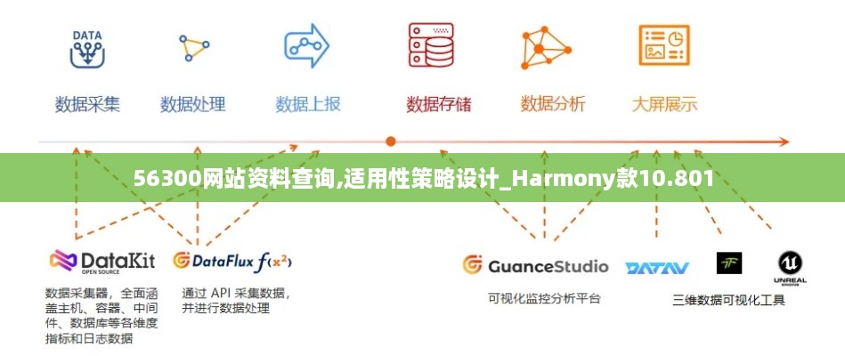 56300网站资料查询,适用性策略设计_Harmony款10.801