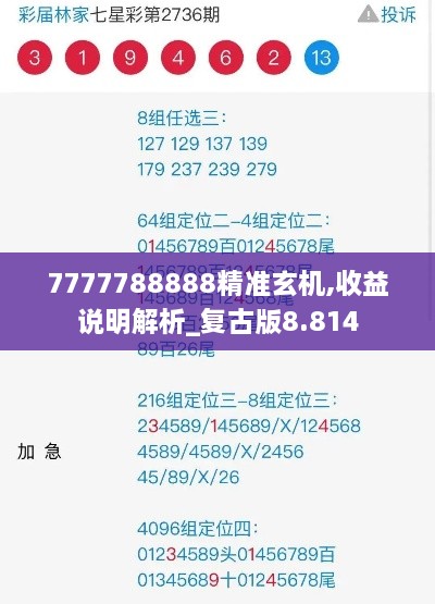 7777788888精准玄机,收益说明解析_复古版8.814