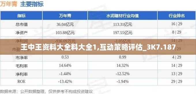 王中王资料大全料大全1,互动策略评估_3K7.187