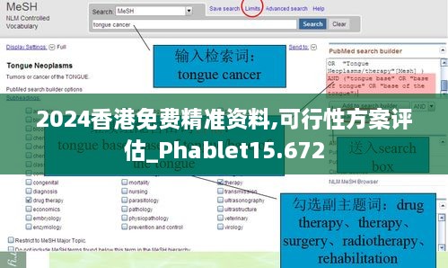 2024香港免费精准资料,可行性方案评估_Phablet15.672