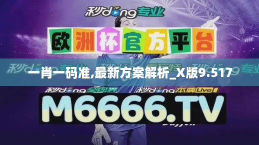 一肖一码准,最新方案解析_X版9.517