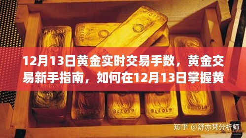 黄金交易新手指南，掌握黄金实时交易手数的策略（12月13日）