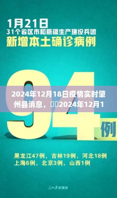 肇州县疫情实时消息报告，最新动态与进展（2024年12月18日）