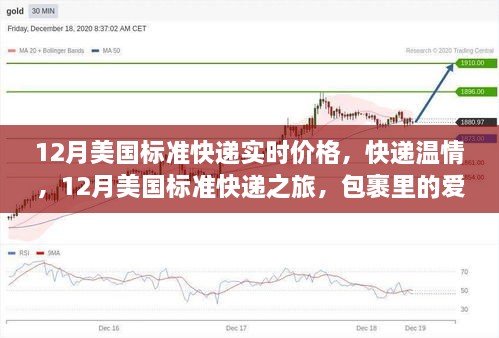 12月美国标准快递实时价格，包裹传递温情与陪伴