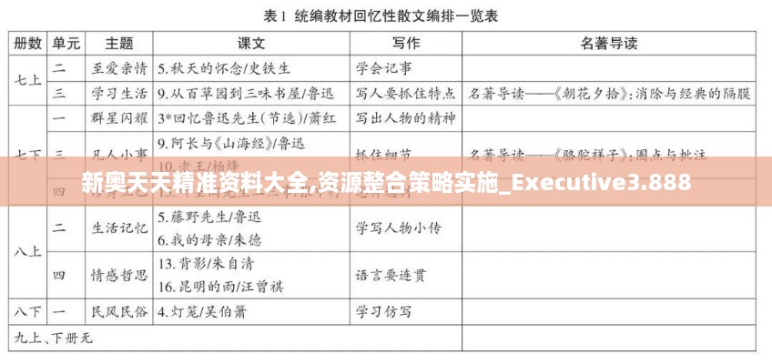 新奥天天精准资料大全,资源整合策略实施_Executive3.888