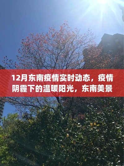 东南疫情下的温暖阳光，实时动态与踏足自然之旅