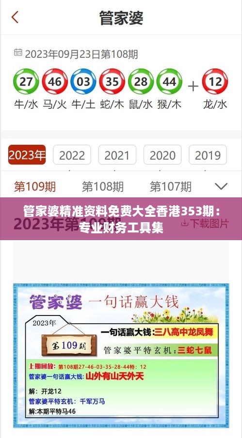 管家婆精准资料免费大全香港353期：专业财务工具集