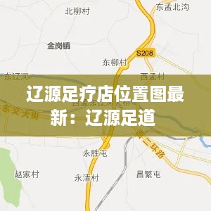 辽源足疗店位置图最新：辽源足道 