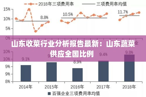 山东收菜行业分析报告最新：山东蔬菜供应全国比例 