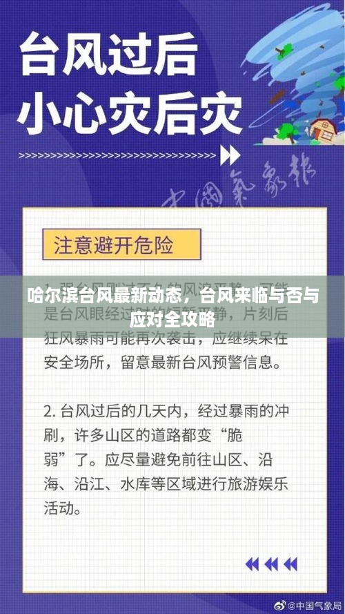 哈尔滨台风最新动态，台风来临与否与应对全攻略