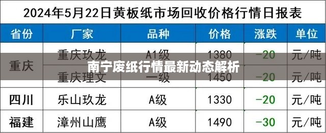 南宁废纸行情最新动态解析