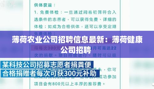 薄荷农业公司招聘信息最新：薄荷健康公司招聘 