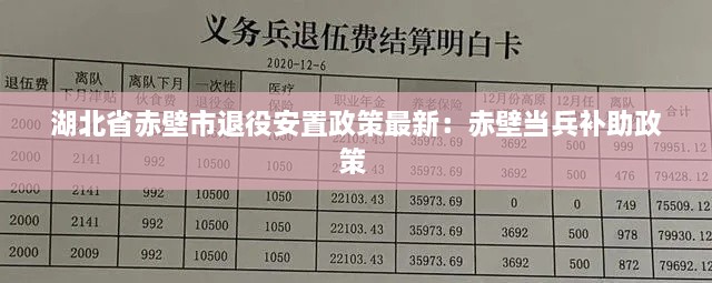 湖北省赤壁市退役安置政策最新：赤壁当兵补助政策 