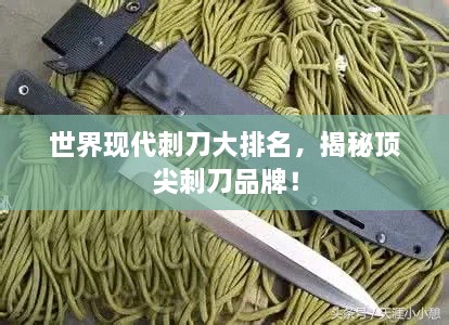 世界现代刺刀大排名，揭秘顶尖刺刀品牌！