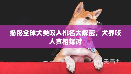 揭秘全球犬类咬人排名大解密，犬界咬人真相探讨