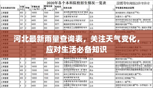 河北最新雨量查询表，关注天气变化，应对生活必备知识